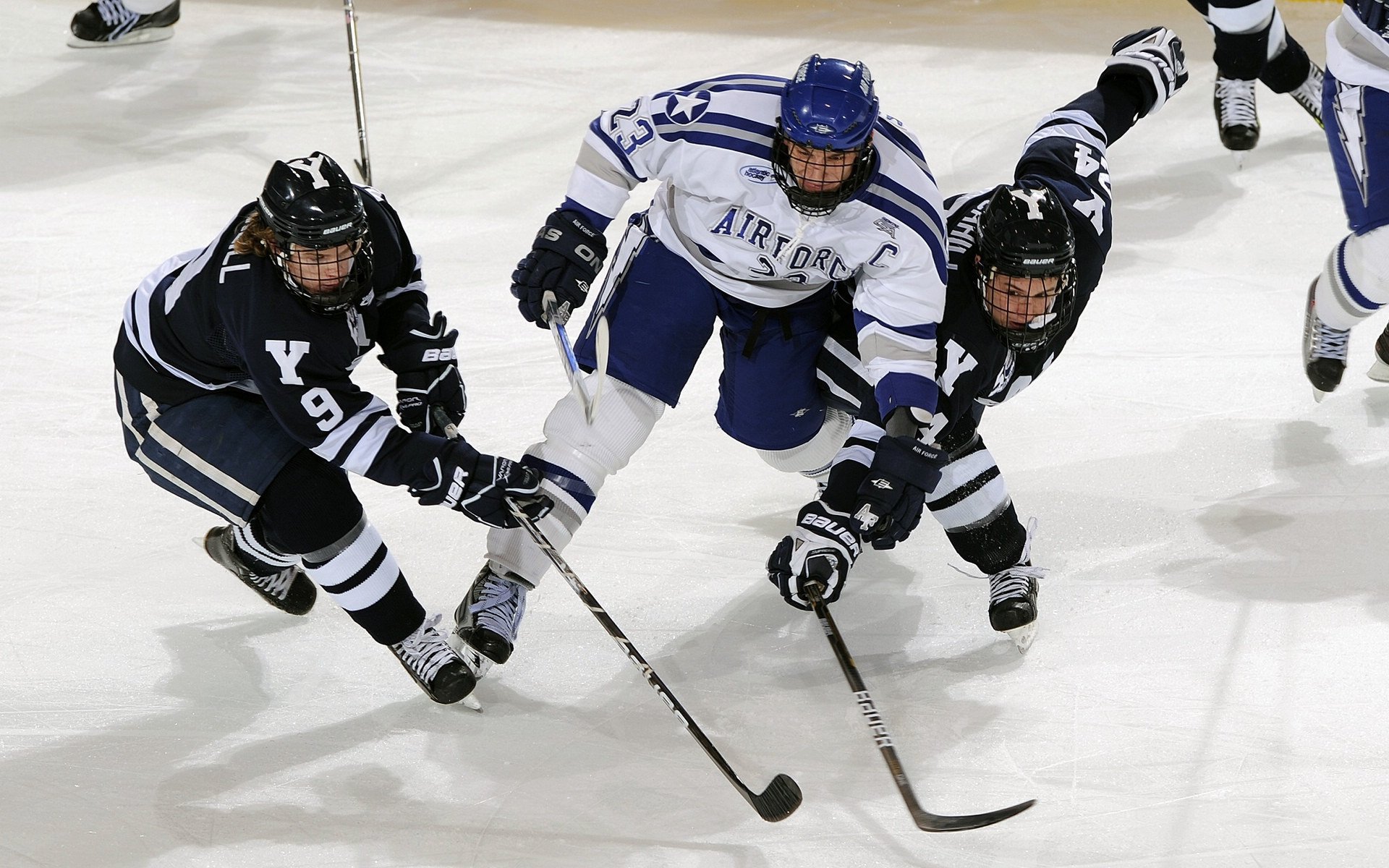 横滨DeNA湾星队赢得2024年日本大赛冠军，日本横滨演唱会